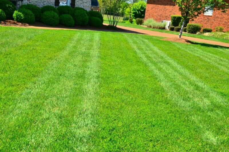 Lawn aeration is a vital component of maintaining a healthy and vibrant lawn. The frequency of aeration depends on various factors, including soil type, lawn usage, climate, grass type, and previous aeration history. 
