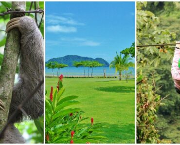 5 Things You Absolutely Must Do in Costa Rica