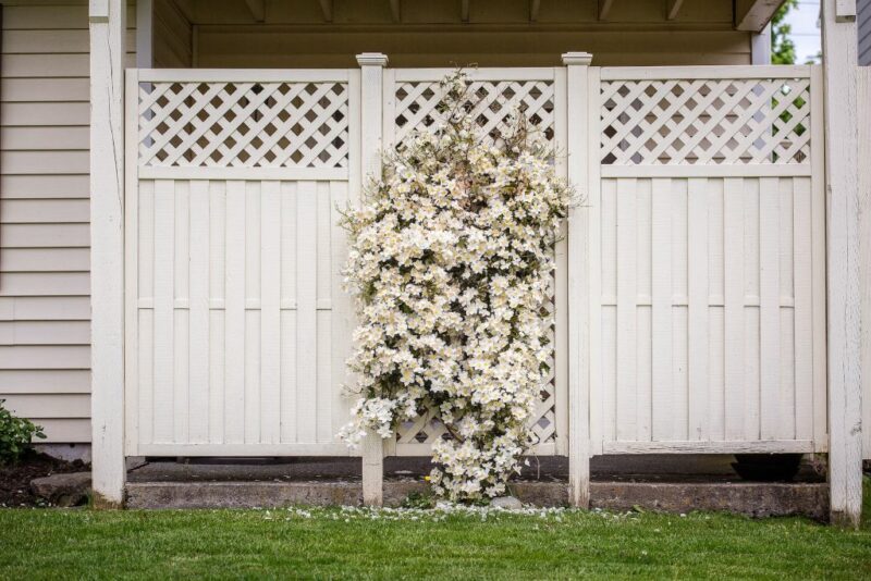 Selecting the ideal fence for your house is a significant decision that requires thorough consideration of its purpose, materials, local regulations, budget, style, installation, and long-term durability. By carefully evaluating these factors and seeking professional guidance when necessary, you can ensure that your chosen fence not only meets your immediate needs but also enhances the overall appeal and value of your property for years to come. So, whether it's for security, privacy, or aesthetics, your well-chosen fence will be a lasting addition that complements your home and lifestyle.